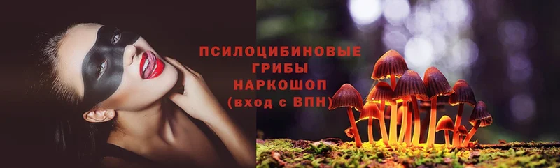 Псилоцибиновые грибы Magic Shrooms  Кингисепп 